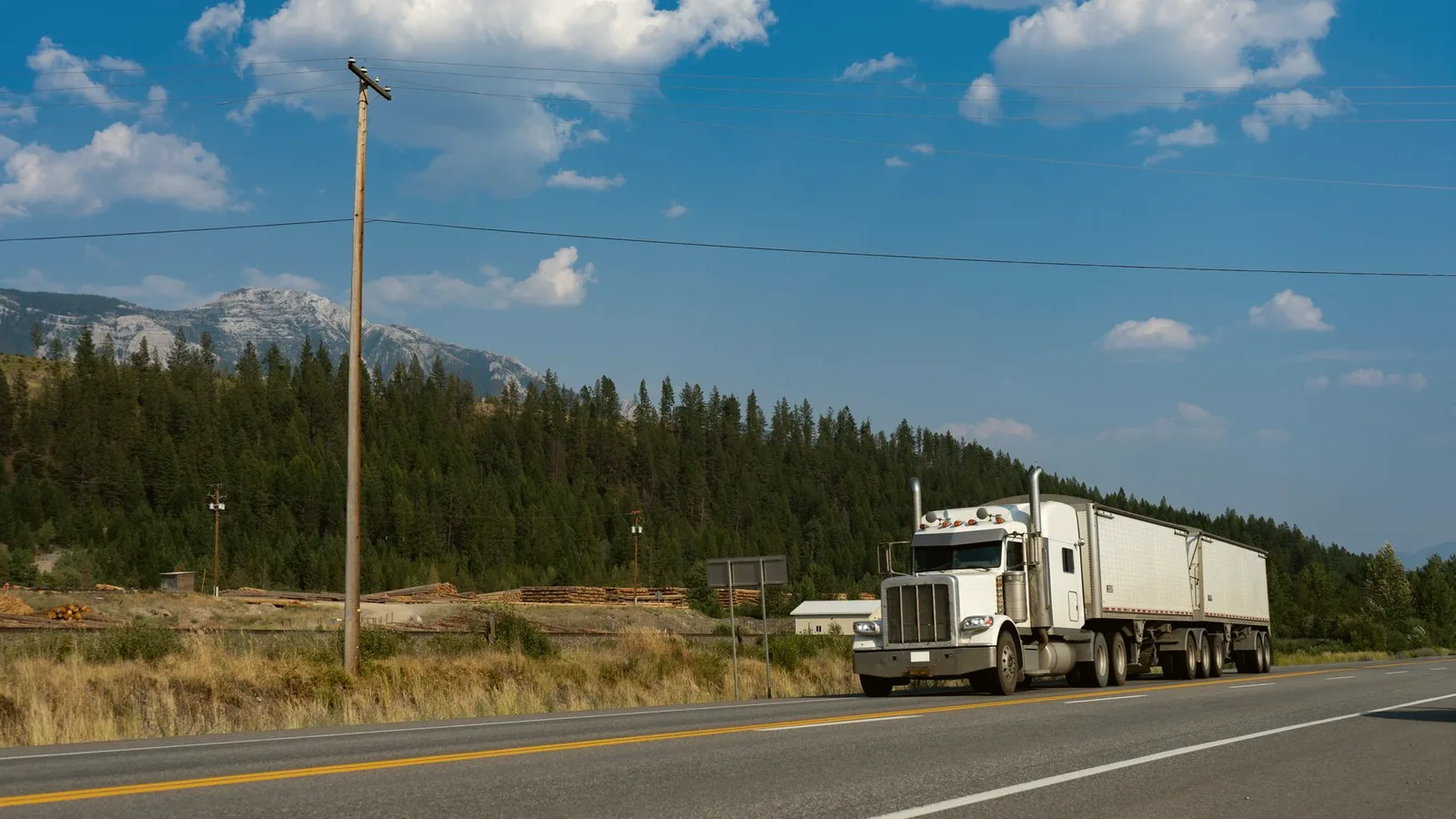 Flatbed truck loaded with container trees on the highway at golden hour